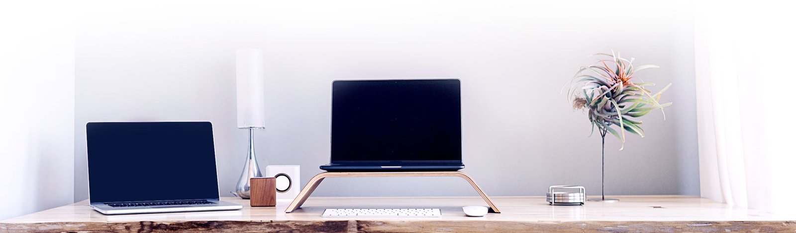 Web Dev 19