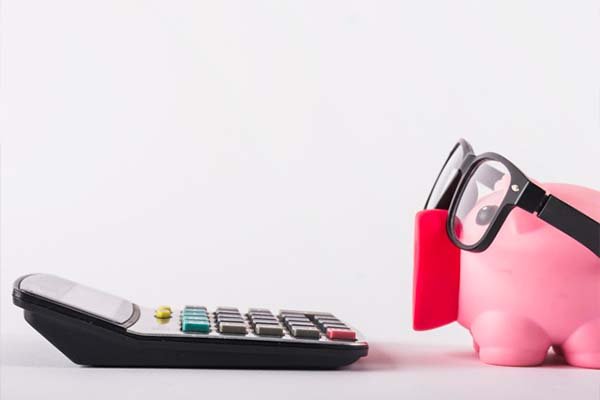 Detailed Salary Composition